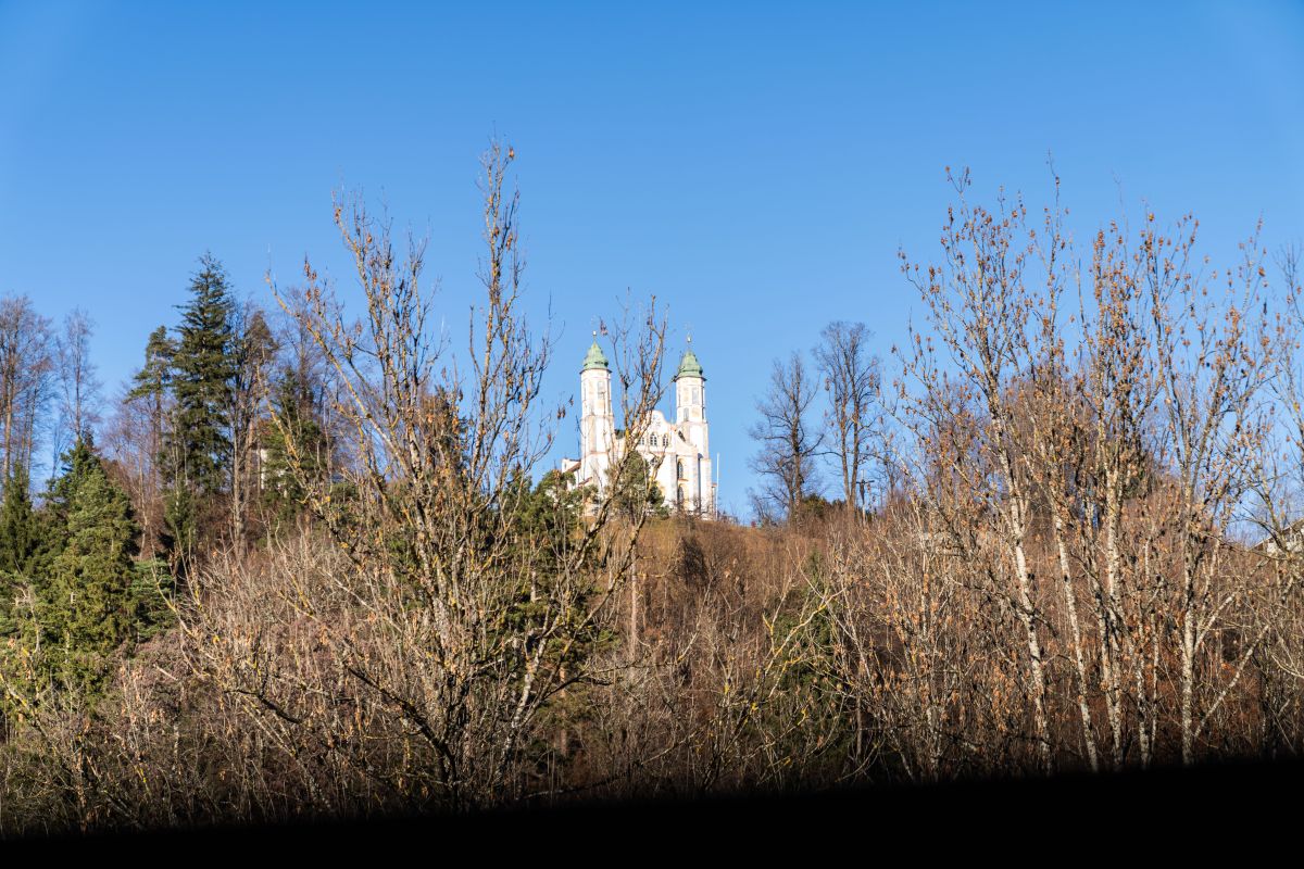 Bild: Freedome_Pictures_Bad Tolz_Konigsdorferstr. 14_EFH 49 von 61