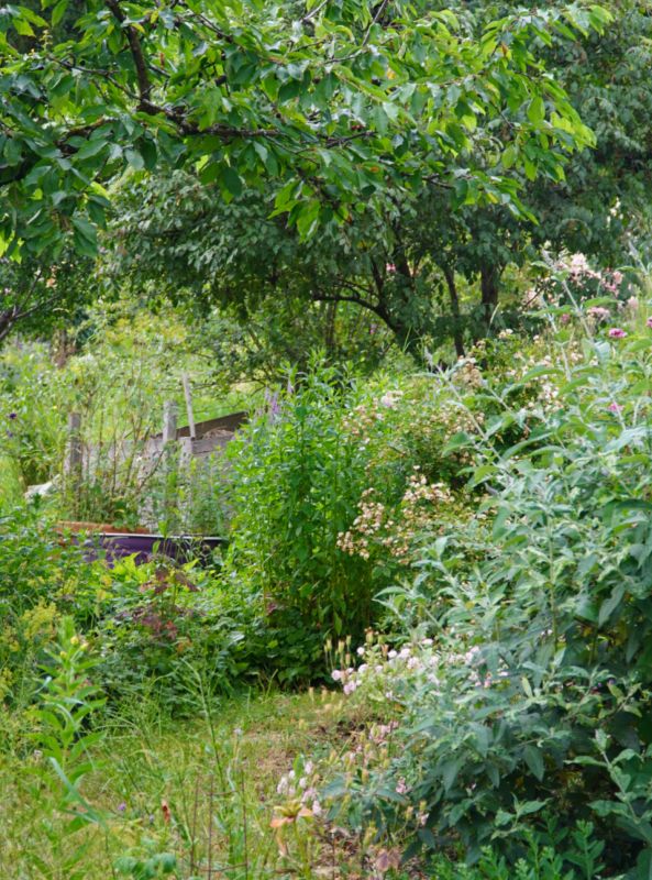 Bild: Froehlich Natur Erleben