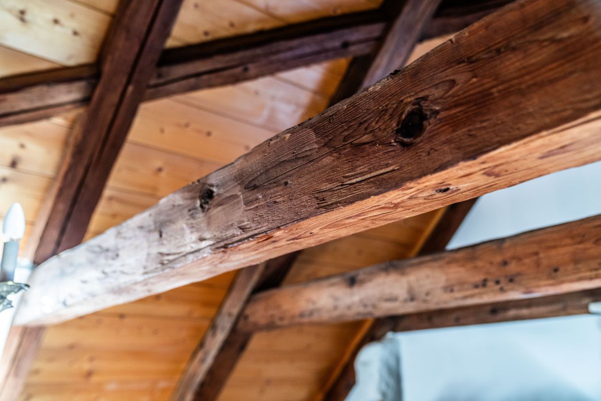 Bild: Freedome_Pictures_Bad Tolz_Konigsdorferstr. 14_EFH 52 von 61